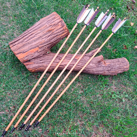 International Field Archery Association